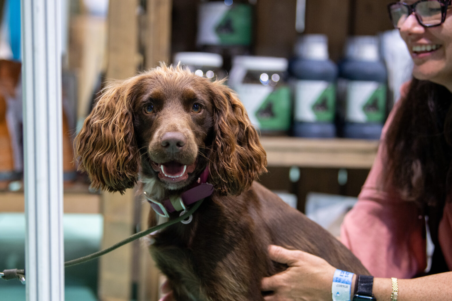 Raccoon Media Group announces major animal health expansion as Edition Dog Live joins rapidly growing portfolio